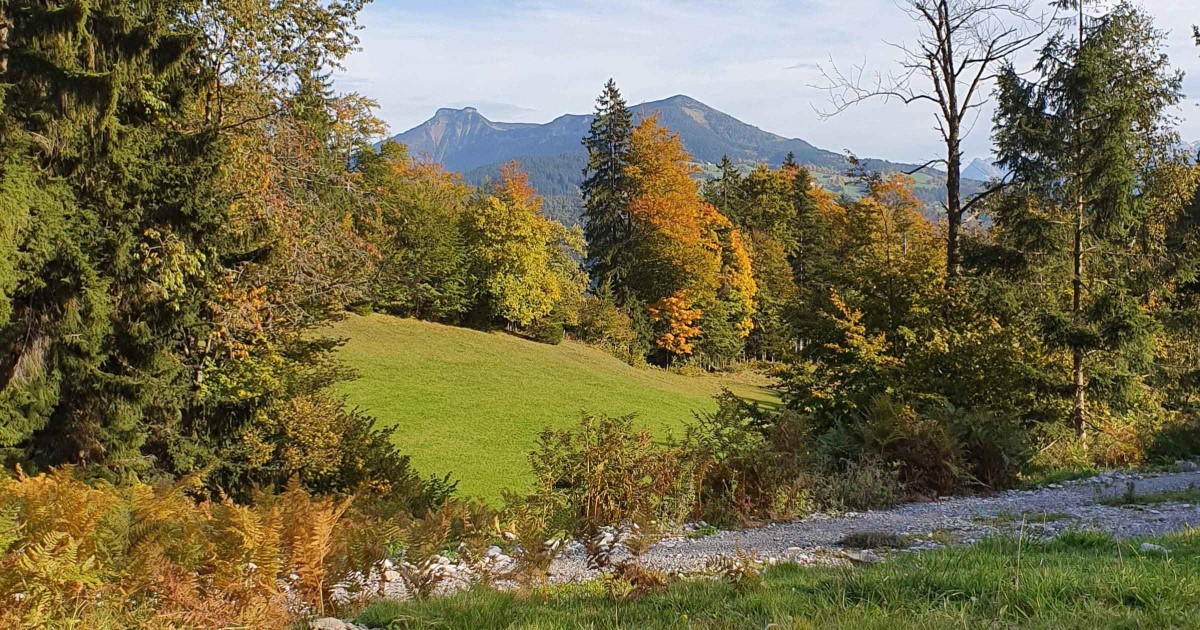 Ausbick Schönalm - Schmitten - Schlenken © TVB Puch